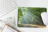 MuchoWow® Mauspad Mousepad Frühling - Wald - Baum 27x18 cm Produktbild-Vorschau 4