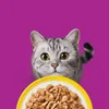 WHISKAS Festmaaltijd in Gelatine, Gevogelte – Natvoer voor Productafbeelding-voorbeeld 2