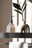 A soap dispenser and a vase with a plant on a shelf. Anteprima dell’immagine prodotto
