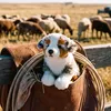 Teddy Hermann Australian Shepherd 22 cm Produktbild-Vorschau 6