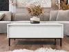 A modern living room scene featuring a white coffee table with a vase of dried flowers on top, placed in front of a grey sofa. Náhled obrázku produktu