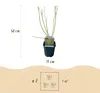 Green boutiQ - Heesters - Cornus alba Tricolour - Mix van Voir les images du produit 3