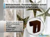 10x Fensterhaken Dekohaken Fensterklipp Gardinenhaken, Produktbild-Vorschau 4