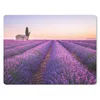 MuchoWow® Mauspad Mousepad Lavendel - Sonnenuntergang - Produktbild-Vorschau 1