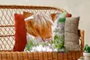 MuchoWow® Zierkissen Sofakissen Wohnzimmer Dekokissen 50x50 Produktbild-Vorschau 5
