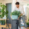 Fioriera LECHUZA PILA Colour Planter Verde Pastello | Anteprima dell’immagine prodotto 12