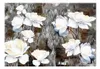 Basera Fototapete Rosenmotiv b-A-0098-a-d, Vliestapete, Produktbild-Vorschau 2