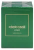 Roberto Cavalli Verde Assoluto Uomo, Herenparfum, 100 ml, Productafbeelding-voorbeeld 6