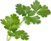 Véritable Lingot Persil italien - Terreau pré-rempli de Voir les images du produit 2