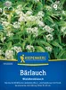 Kiepenkerl Bärlauchsamen Waldknoblauch Allium ursinum 35 Produktbild-Vorschau 5