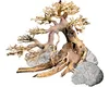 Dennerle Decor Box-Bonsai Set de décoration Aquarium d'eau Voir les images du produit 3
