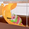 Furrever Friends Miku Easy Small - klec pro malé hlodavce Náhled obrázku produktu 8