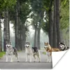 MuchoWow® Poster Vier Huskys zwischen den Bäumen 100x100 cm Produktbild-Vorschau 1