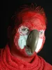 Papageienmaske zum Ankleben - Fasching Halloween Produktbild-Vorschau 2