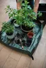 Pflanzmatte Umtopfmatte 100x100 cm Gartenmatte zum Umtopfen Produktbild-Vorschau 3