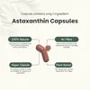 Astaxanthin-Kapseln 8 mg Produktbild-Vorschau 3