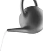 Eva Solo Globe arrosoir, arrosoir pour fleurs, fleurs, Voir les images du produit 2