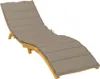 A single taupe chaise lounge cushion on a wooden frame, shown against a white background. Náhľad obrázku produktu