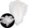 Piume Piume di struzzo, circa 20-30 cm, 20 pezzi, bianco Anteprima dell’immagine prodotto 1