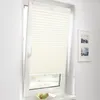 A pleated blind is installed on a window, with a bowl of fruit on the windowsill below. Produktbild-Vorschau