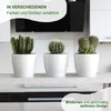 Übertopf Magnolia 36 silbergrau Produktbild-Vorschau 4