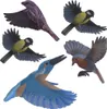 Vogelsilhouette heimische Vögel bunt 5 teilig Produktbild-Vorschau 4