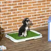 A small dog sits on a pet potty training pad with artificial grass on a wooden deck, with a brick wall in the background. Produktbild-Vorschau