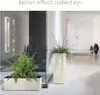 Two planters with plants in a modern hallway or entryway. Podgląd zdjęcia produktu