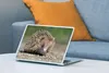 MuchoWow® Laptop Aufkleber Sticker Cover Igel auf Schotter Produktbild-Vorschau 4