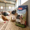 PANTO HMK/PMK Hähnchen- und Putenmastkorn 25kg - Produktbild-Vorschau 3