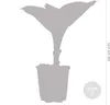 Bloomique - Zestaw 6 szt. - Hosta Sieboldiana Elegans - Podgląd zdjęcia produktu 4