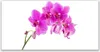 Tulup Leinwand-Bilder 140x70 Wandbild Canvas Kunstdruck Produktbild-Vorschau 1