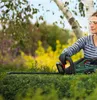 Bosch UniversalHedgeCut 50 - Tagliasiepi - a batteria 2,5 Anteprima dell’immagine prodotto 16