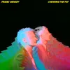 Franc Moody: Franc Moody: (180g) - Believe Digital - (LP / Náhľad obrázku produktu 3