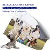 A poster with a picture of dogs and a kitten, with text overlay. Produktbild-Vorschau