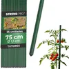 Soporte para plantas Tyč Garden, modelo SB 11/750 mm, Vista previa de la imagen del producto 1