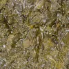 LIPPERLAND GRÜNKOHL handverlesen vegan Konserve Füllm 4KG Produktbild-Vorschau 2
