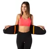 Ps121 Stabilizačný Pás L/Xl Hms Náhľad obrázku produktu 17
