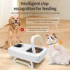 Zimilo Automatischer Futterautomat für Katzen & Hunde mit Produktbild-Vorschau 4