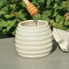 Esschert Design Pot de miel avec collecteur de miel ; C2039 Voir les images du produit 6