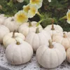 Semi di zucca ornamentale Buzzy Baby Boo - Circa 1 gr | Anteprima dell’immagine prodotto 2