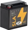 Batterie AGM SLA 12V 12Ah pour moto Batterie de démarrage Voir les images du produit 8