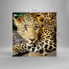 Bilder auf glas - Tiere gefährlich wilde katze - 70x70cm - Produktbild-Vorschau 3