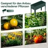 COSTWAY, kovový vyvýšený záhradný box, nosnosť do 20 kg, Náhľad obrázku produktu 8