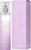 Caudalie 3522930004202, Kobiety, 50 ml, Butelka Podgląd zdjęcia produktu 2