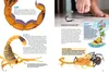 Entdecke die gefährlichsten Tiere Voir les images du produit 4