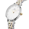 Daniel Wellington - DW00100616 - Polshorloge - Dames - Productafbeelding-voorbeeld 2