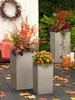 Outdoor patio scene with planters and fall foliage. Anteprima dell’immagine prodotto