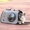 A cat is peeking out of a gray pet carrier bag on a pinkish-red surface with a blurred green background. Produktbild-Vorschau