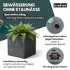 Kreher® XL Pflanzkasten „Millennium“ 49x49x49 cm - 80L Produktbild-Vorschau 6
